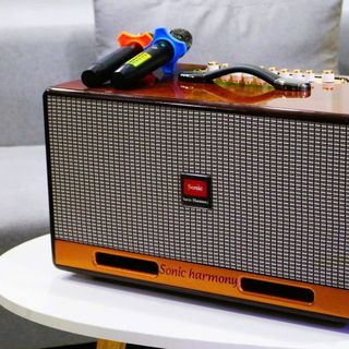 loa karaoke, xách tay, loa karaoke xách tay, loa sử dụng pin sạc, loa kéo Hz 450