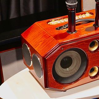 loa karaoke, xách tay, loa karaoke xách tay, loa sử dụng pin sạc, loa kéo Hz 510