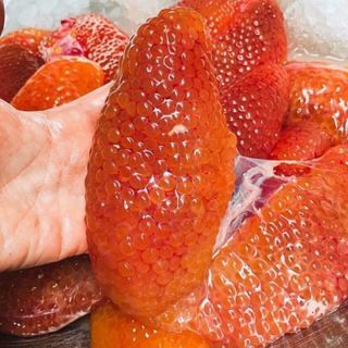 Trứng cá ngát hộp 500gr (giao tphcm)