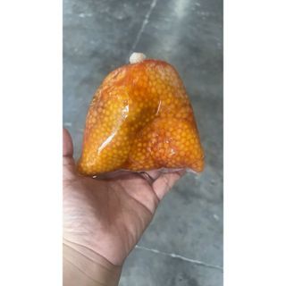 Trứng cá ngát hộp 500gr (giao tphcm)
