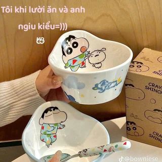 BỘ BÁT ĐĨA HÌNH SHIN