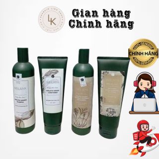 Cặp dầu gội xả tóc thảo dược Weilaiya gừng hà thủ ô dưỡng đen, phục hồi hư tổn và ngăn rụng tóc