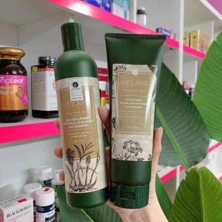 Cặp dầu gội xả tóc thảo dược Weilaiya gừng hà thủ ô dưỡng đen, phục hồi hư tổn và ngăn rụng tóc