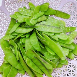 Combo 5 bì hạt giống đậu ván