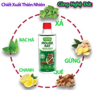 Chai Xịt Đuổi Chuột TAROKO 500ml Nhập Khẩu Đài Loan, Chiết Xuất Thiên Nhiên, Hương Quế An toàn Xua Đuổi Chuột, Gián