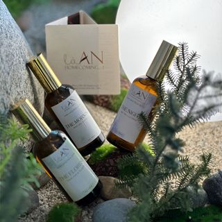 NƯỚC XỊT THƠM VẢI LÀ AN