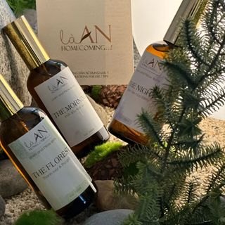 NƯỚC XỊT THƠM VẢI LÀ AN
