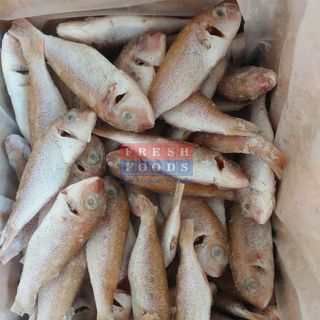 Cá đổng LS size 8/12 con/kg