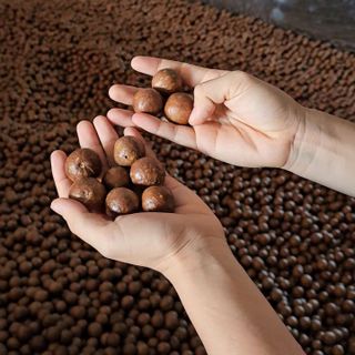 Sỉ Lẽ MACCA tận xưởng