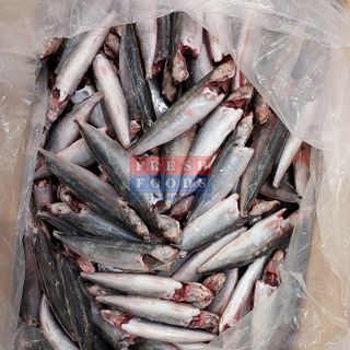 Cá nục suôn LS - Size 15/20 & 20/30 con/kg