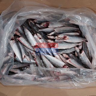 Cá nục suôn LS - Size 15/20 & 20/30 con/kg