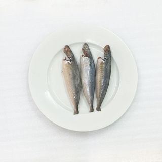 Cá nục gai NCLS - Size 16/20 con/kg