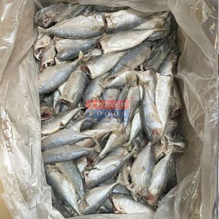 Cá bạc má CĐLS - Size 16/20 con/kg