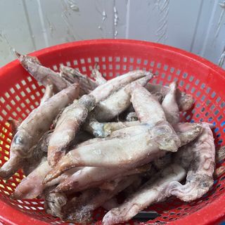 Mực dâu size 8/10 cm