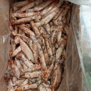 Mực dâu size 8/10 cm