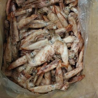 Mực dâu size 8/10 cm
