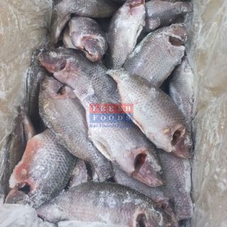 Cá rô phi LS  - Size 4/6 & 6/8  & 8/12 con/kg