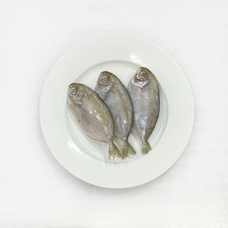Cá tín, Cá Liệt  - Size 8/10 & 10/12