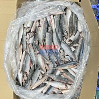 Cá nục gai NCLS - Size 16/20 con/kg