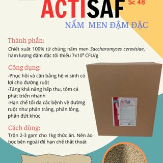 ACTISAF THÙNG 25KG Men vi sinh đường ruột Saccharomyces đậm đặc