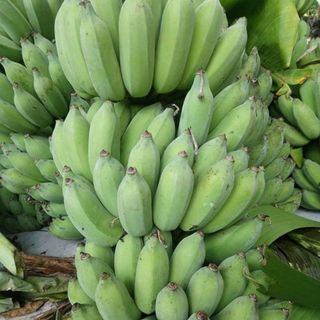 Chuối sứ nguyên buồng (1kg/10k)