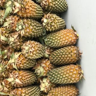 ĐẶC SẢN KIÊN GIANG -Khóm Sấy Tắc Cậu 
 🍍 Sấy Mộc
 🍍 Sấy Muối Ớt
 🍍 Sấy Mật Ong Gừng giá sỉ