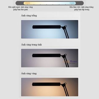 Sỉ Đèn LED Kẹp Bàn 12W Cỡ Lớn 3 Màu Ánh Sáng Kẹp Bàn Học Bàn Làm Việc Chống Cận Thị LT-12