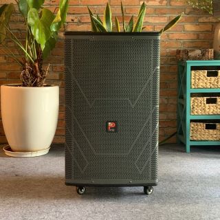 LOA KARAOKE XÁCH TAY DSP SUPER