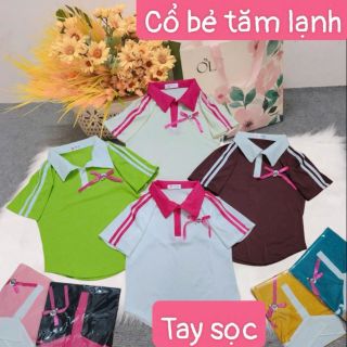 Áo cổ bẻ tăm lạnh