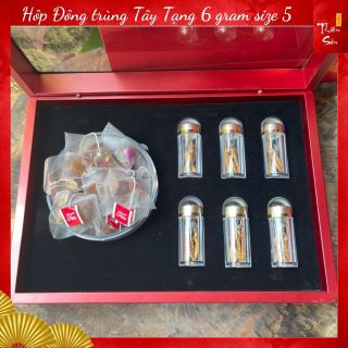 Hộp Đông trùng 6 gram size 5 và trà hoa hồng Tây Tạng làm quà biếu - Thương hiệu uy tín