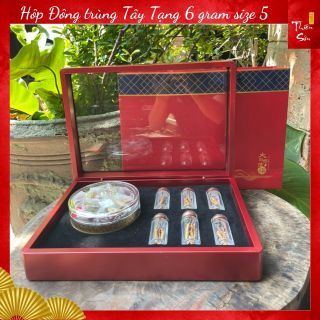 Hộp Đông trùng 6 gram size 5 và trà hoa hồng Tây Tạng làm quà biếu - Thương hiệu uy tín