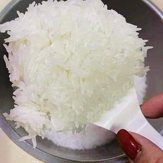 GẠO ST25 BAO 10KG