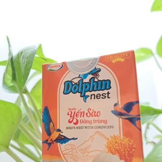 yến sào đông trùng dophin