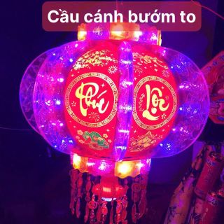 Cầu điện phản quang cánh bướm to