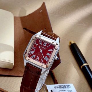 CẢTIRE 𝐒𝐚𝐧𝐭𝐨𝐬-𝐃𝐮𝐦𝐨𝐧𝐭 𝐑𝐞𝐰𝐢𝐧𝐝 𝐖𝐆𝐒𝐀𝟎𝟎𝟖𝟗