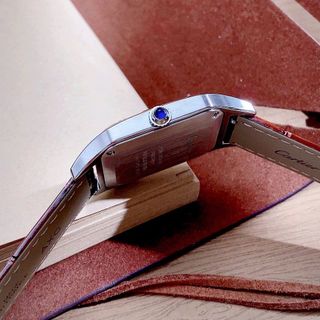 CẢTIRE 𝐒𝐚𝐧𝐭𝐨𝐬-𝐃𝐮𝐦𝐨𝐧𝐭 𝐑𝐞𝐰𝐢𝐧𝐝 𝐖𝐆𝐒𝐀𝟎𝟎𝟖𝟗