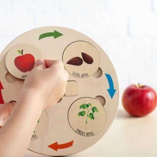 Bộ đồ chơi giáo dục khay vòng đời động thực vật LC01