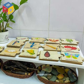Bộ đồ chơi khám phá khoa học Vòng đời sinh trưởng động thực vật LC02 hình vuông