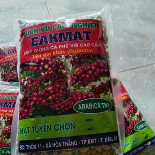 Hạt giống cÀ phê chuẩn f1