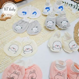 Set bao tay, bao chân thun lạnhin hình sẵn - hàng siêu xinh