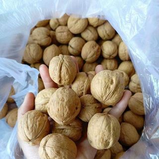 Óc Chó Giấy Hà Giang 2 Bịch 1kg