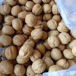 Óc Chó Giấy Hà Giang 2 Bịch 1kg
