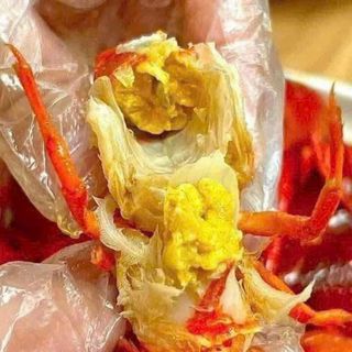 Tôm Hùm Đất Hộp 1kg
