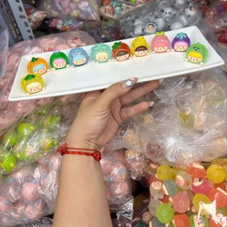 túi mù thú nhiều loại