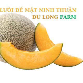 Dưa Lưới Đế Mật Ninh Thuận - Du Long Farm