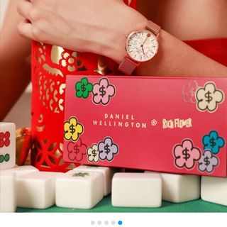 ĐỒNG HỒ NỮ CAO CẤP D.W RICH FLOWER DÂY LƯỚI MẶT TRÒN LIMITED 2