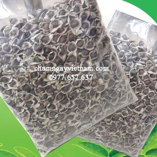 Hạt chùm ngây túi 500gr