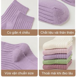 Set 5 Đôi Tất Trơn Cho Bé Chất Len Tăm Mịn Đủ Size 1-12 Tuổi - TA009