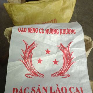 Gạo Sén Cù Mường Khương