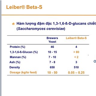 BETA - S (Beta glucan 80%)